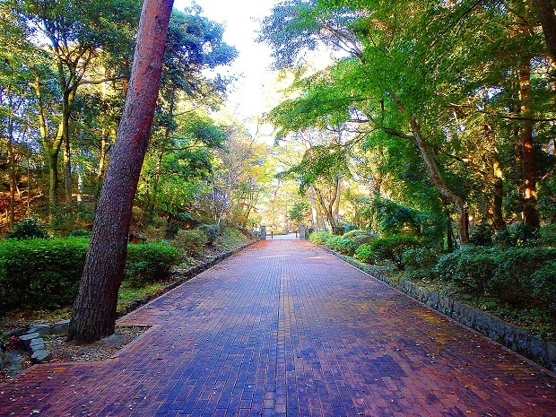 神戸市外国人墓地 再度公園 神戸 北区 週末おでかけmap