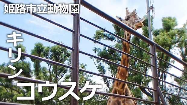 動物園 姫路 姫路市立動物園：トップページ