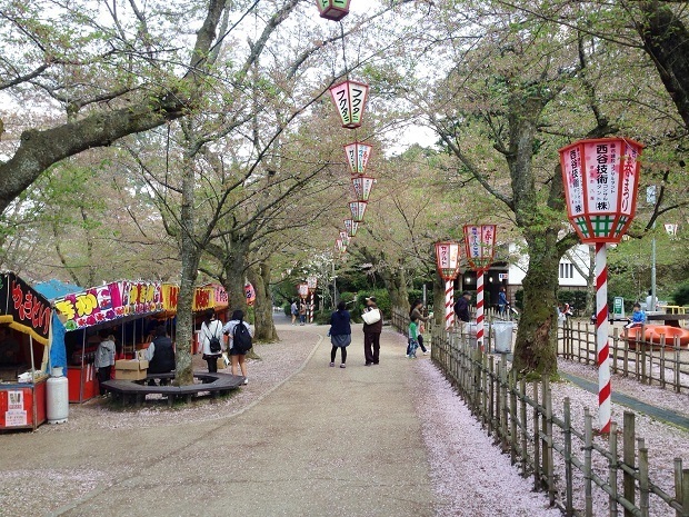 倉吉春まつり17 打吹公園 桜の名所１００選 鳥取県 倉吉市 週末おでかけmap