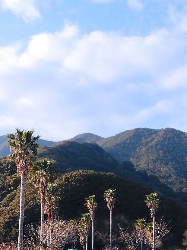 展望台1b.jpg