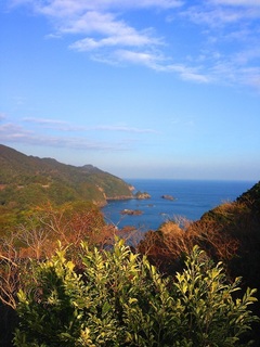 湾1b.jpg