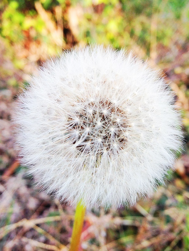 55.jpg