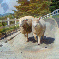 qs.gif