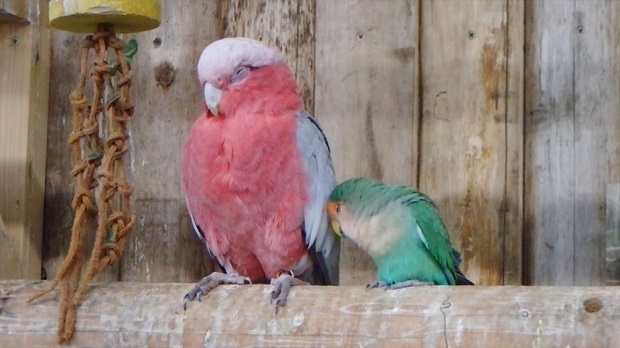 18.jpg