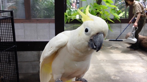 59.jpg