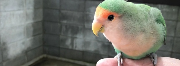 みん23.jpg
