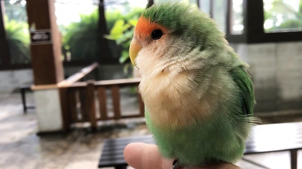 みん24.jpg