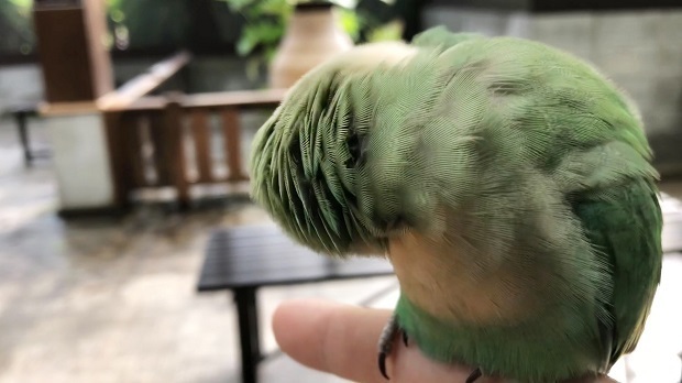 みん30.jpg