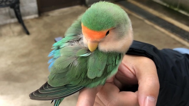みん32.jpg