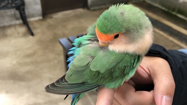 みん33.jpg