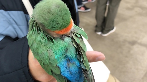 みん35.jpg