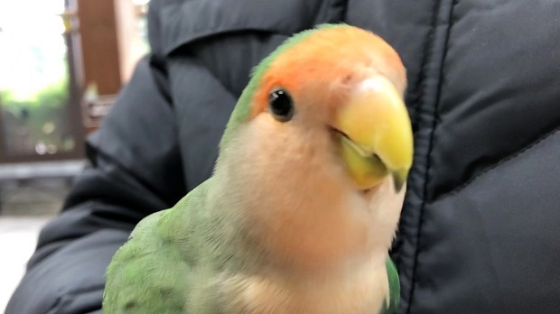 みん56.jpg