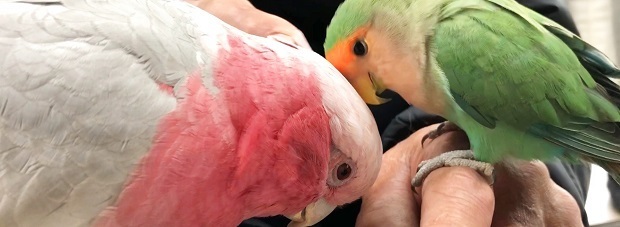 みん60.jpg