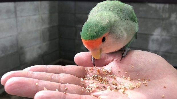 みん9.jpg