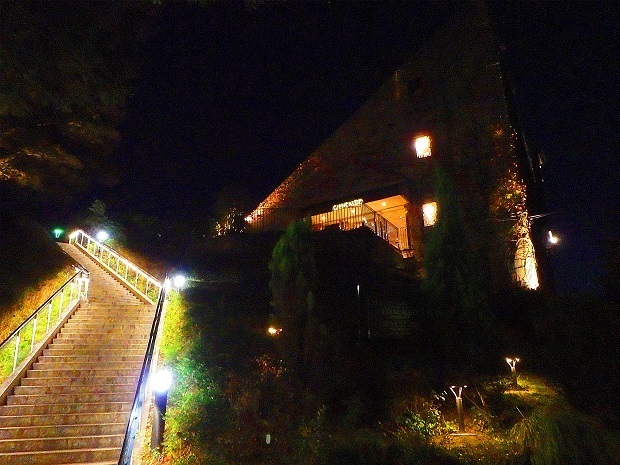 96.jpg