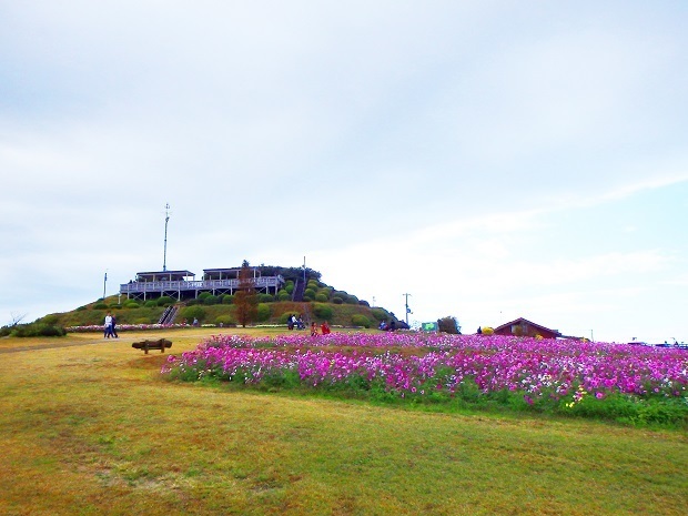 118.jpg