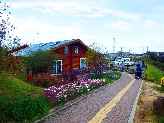 123.jpg
