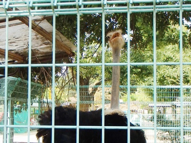 63.jpg