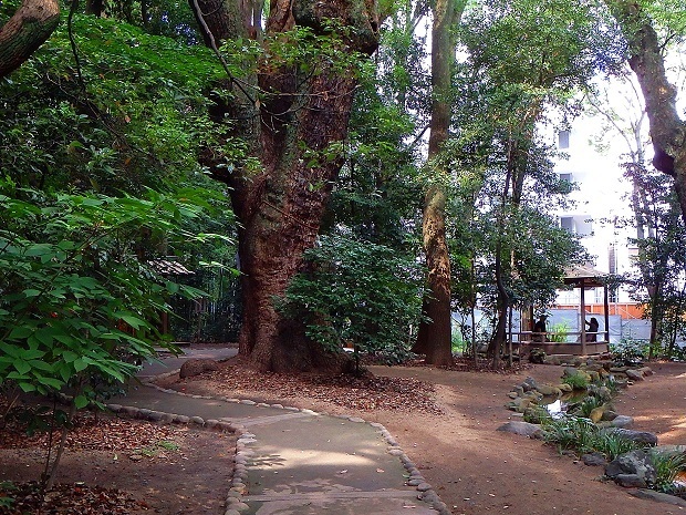 65.jpg