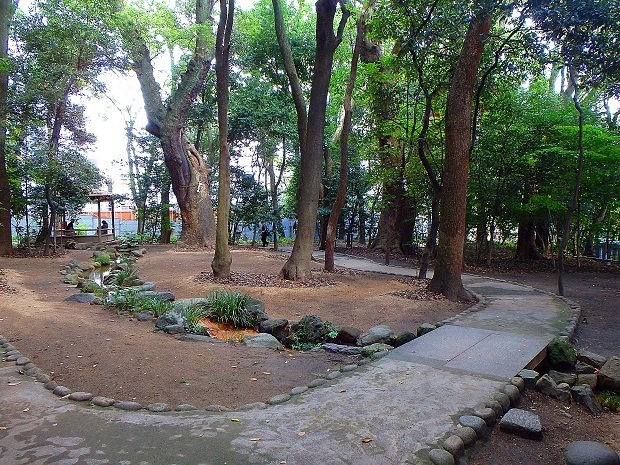 66.jpg