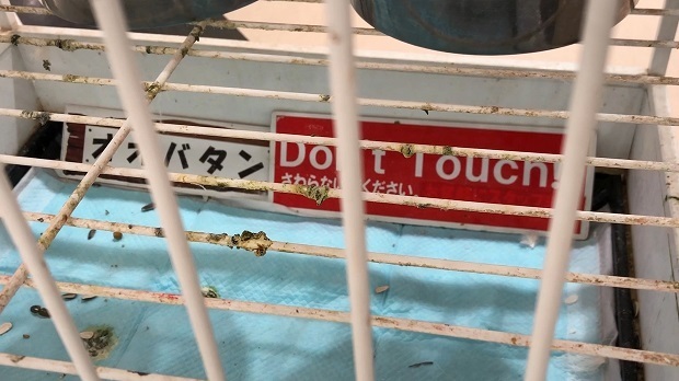 119.jpg