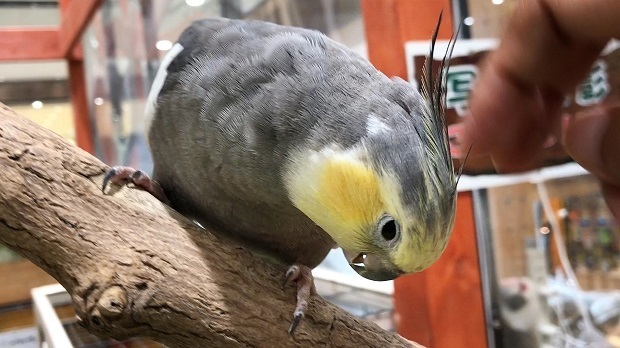 75.jpg