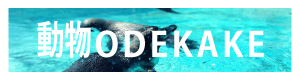 side b.png
