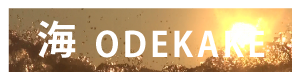Cside b.png