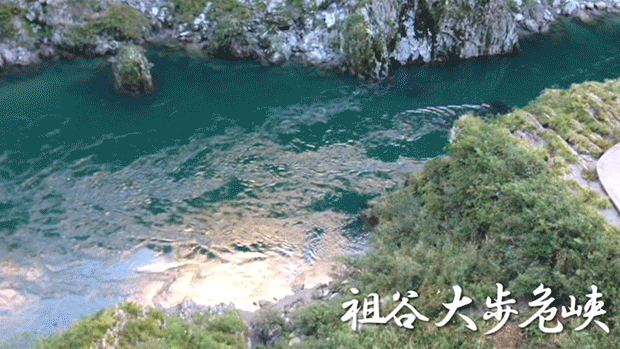 大歩危.gif