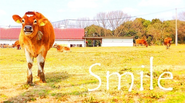 smile.jpg