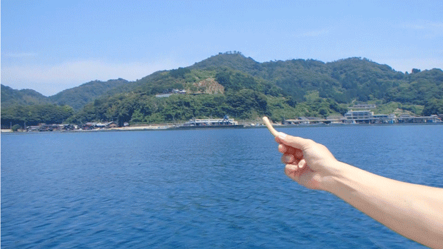 カモメ.gif