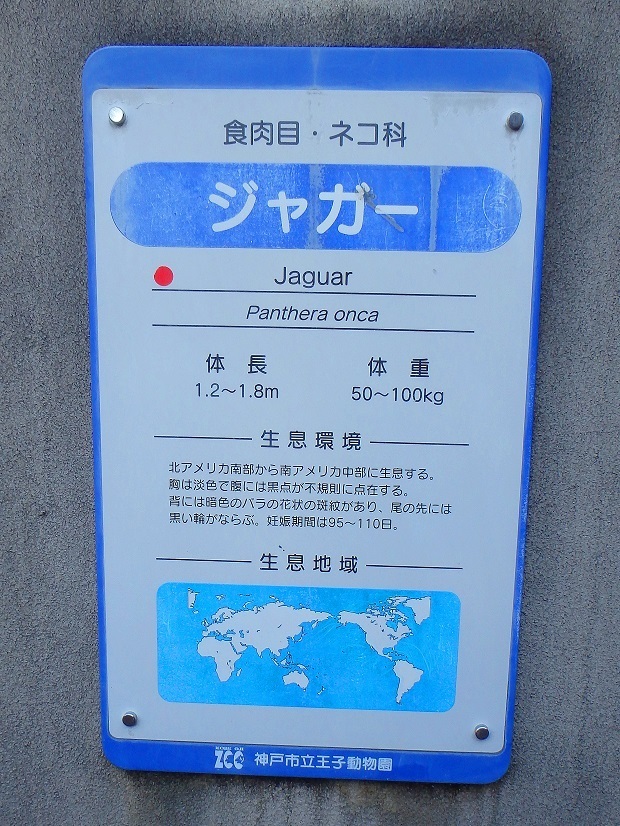 106.jpg