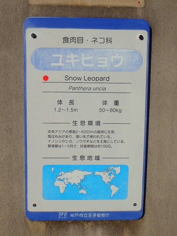 94.jpg