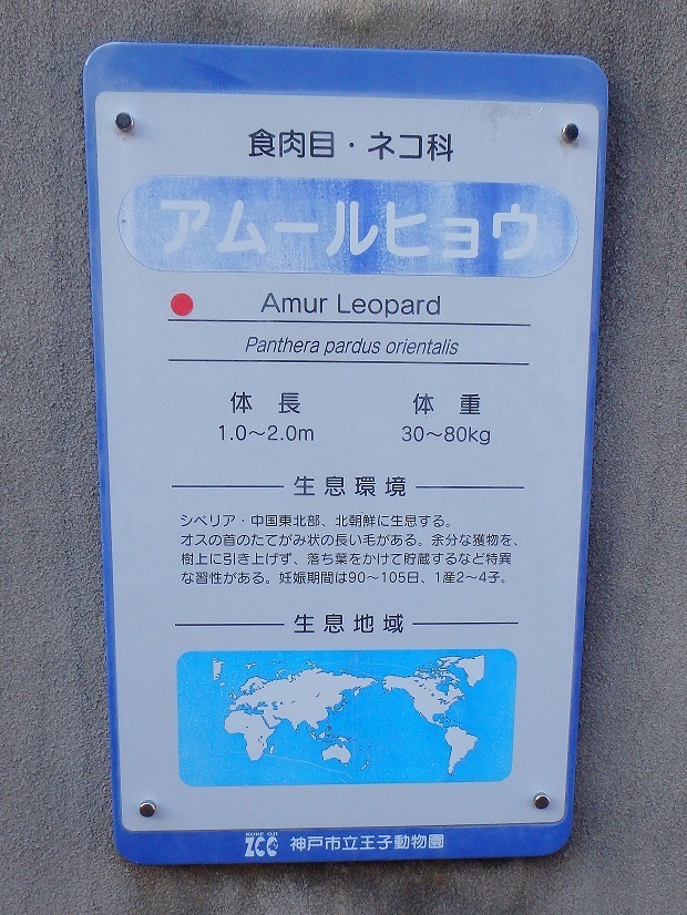 95.jpg