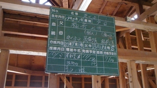 65.jpg
