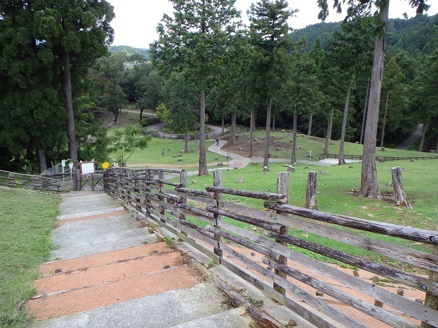 85.jpg