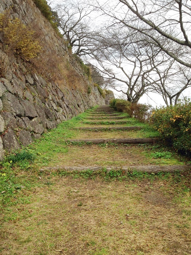 63.jpg