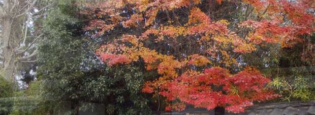 御徒士町.gif