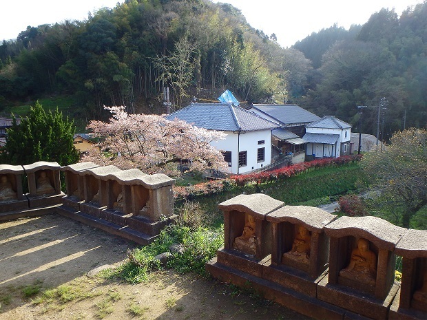 105.jpg