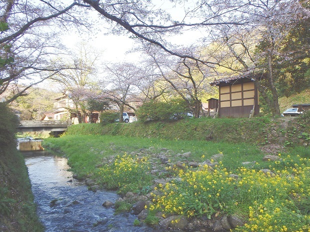 139.jpg