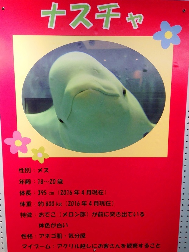80.jpg