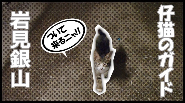 仔猫のガイド.jpg