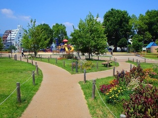 公園4.jpg