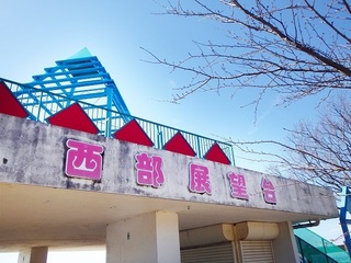 183.jpg