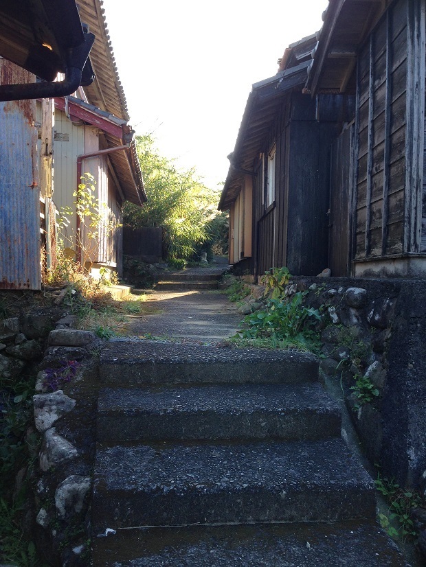 106.jpg
