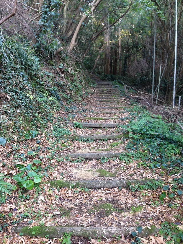 145.jpg