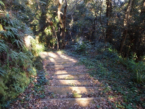 149.jpg