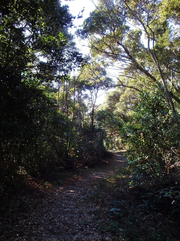 165.jpg