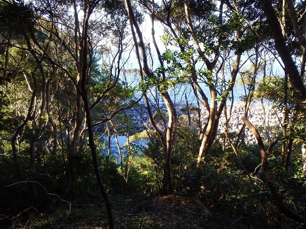 168.jpg