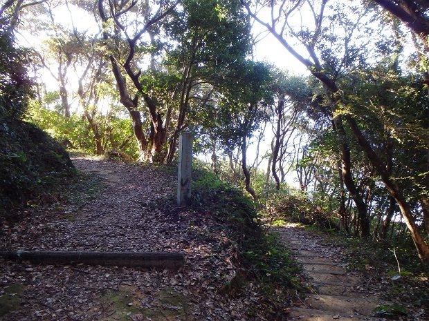175.jpg